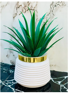 Pack of 2 Premium Mini Artificial Plants for Home & Office Decor